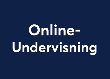 Onlineundervisning